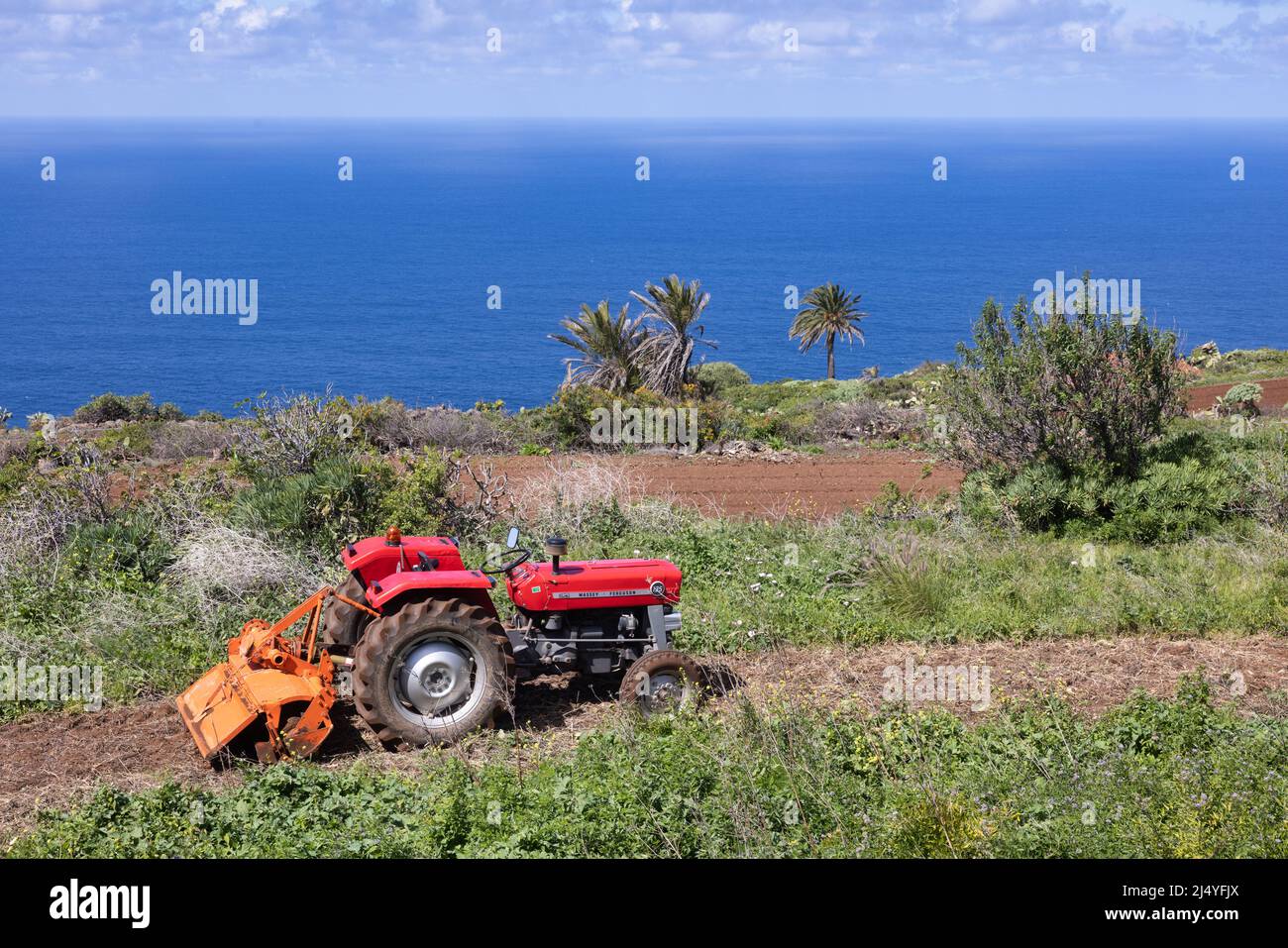 La Palma Island Spain - March 06, 2022: Tractor in green fields with Ocean view at la Palma island Stock Photo