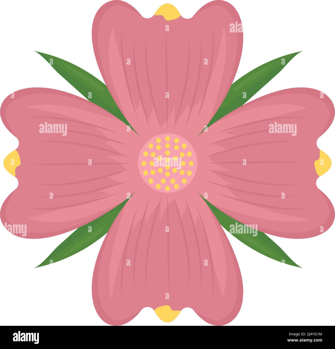 Pink Color Flower Graphics pink flower design Stock Vector Image & Art - Alamy