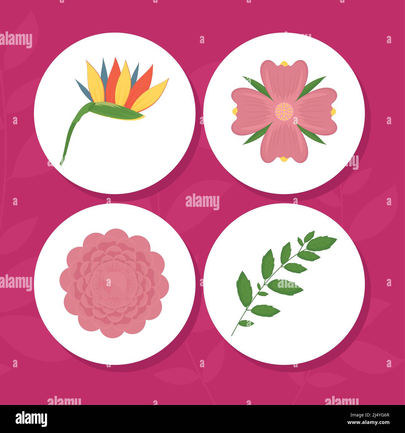 tropical flowers and leaves set Stock Vector Image & Art - Alamy