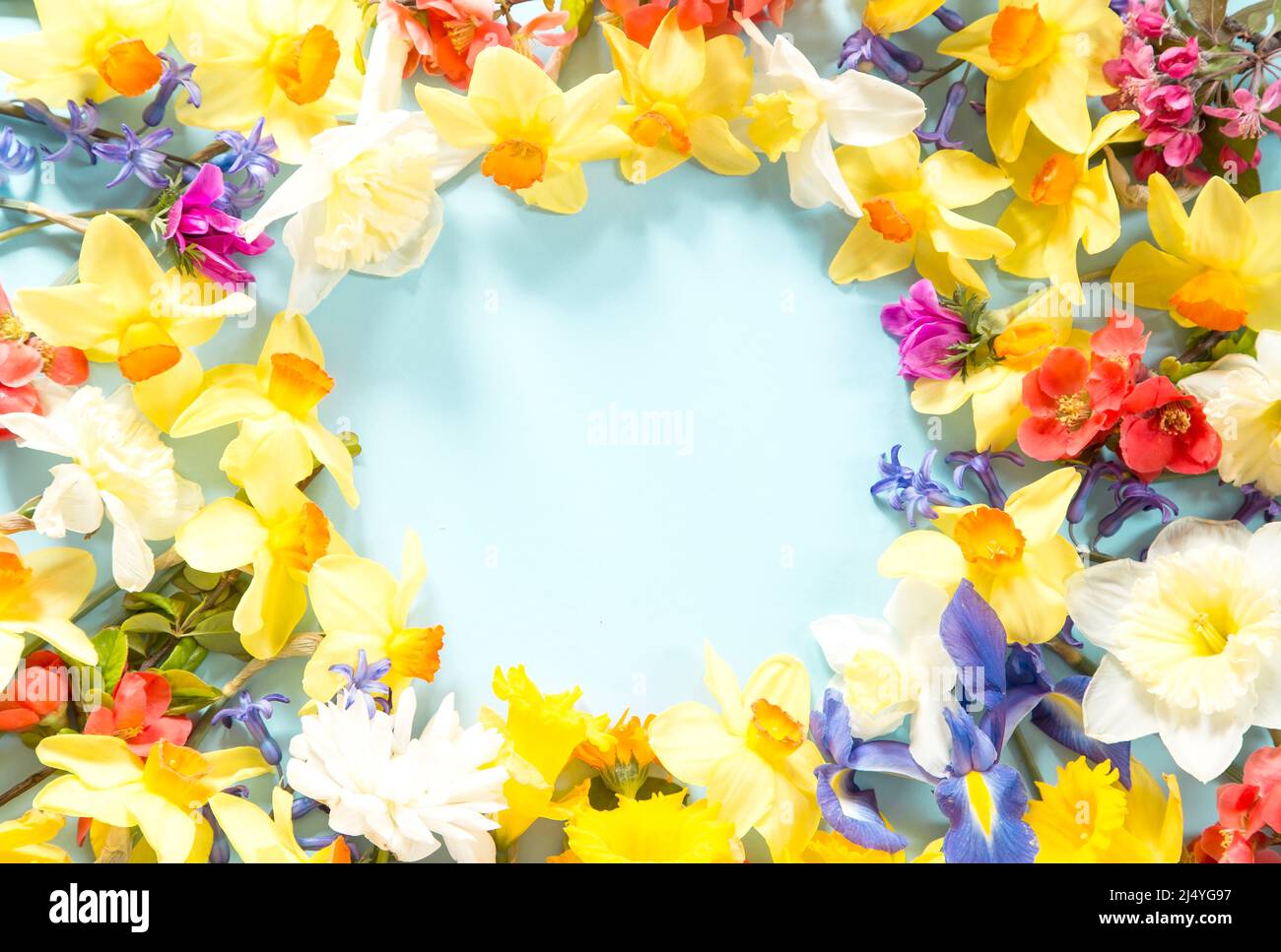 Spring floral copmosition on blue background Stock Photo