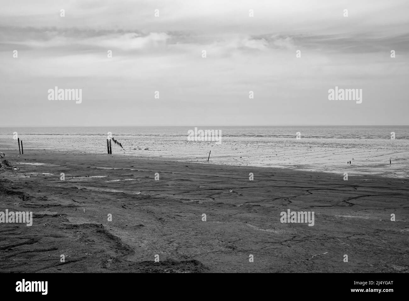 Mud flats in low tide on an overcast spring day along the Delaware Bay rendered in black and white. Stock Photo