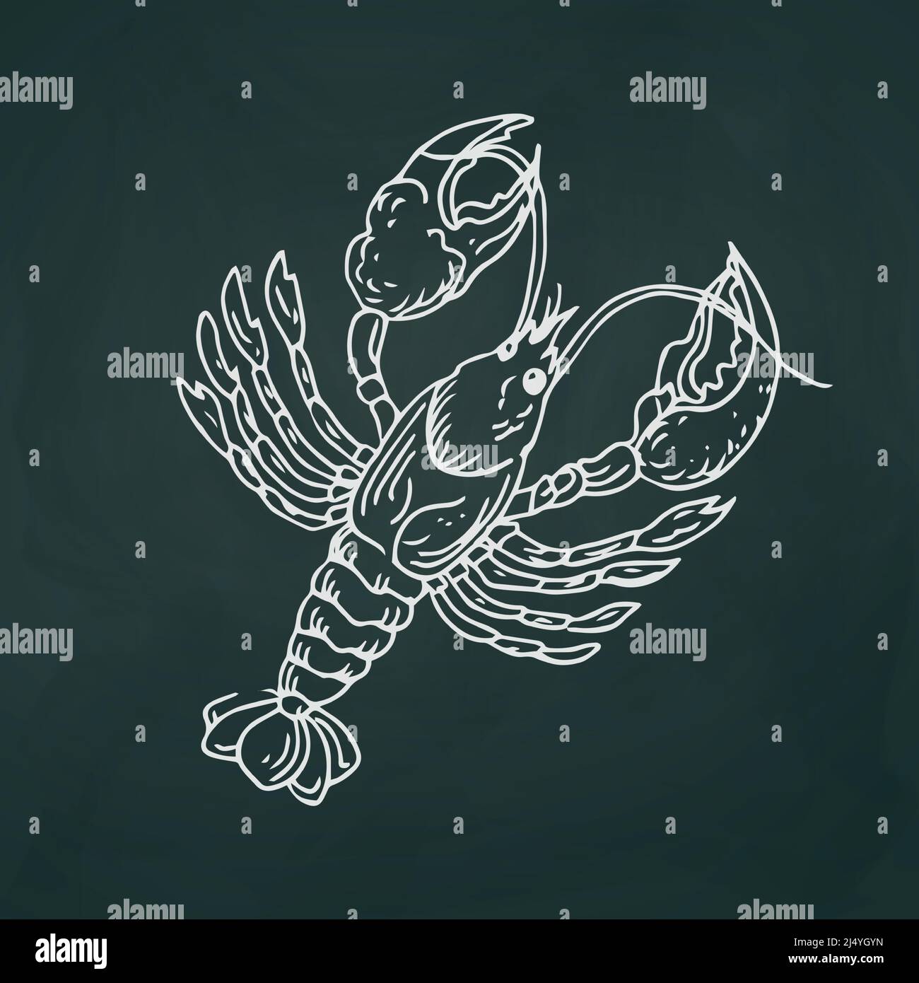Crayfish thin white lines on a textural dark background - Vector illustration Stock Vector