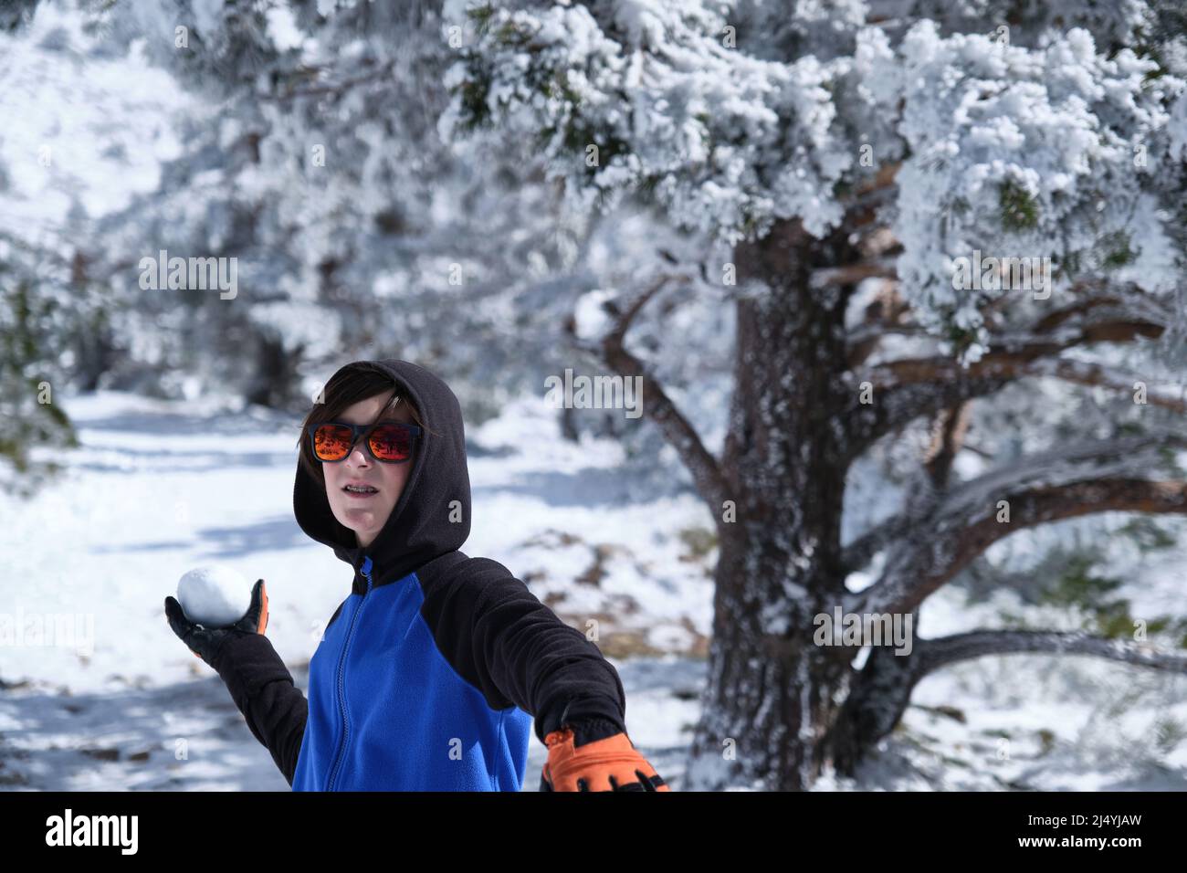 Boy throwing snowball in woods Stock Photo Alamy