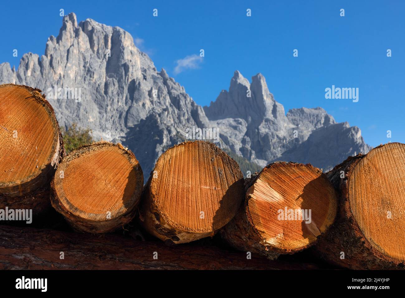 Close up of lumber stacked in piles with an iconic range of italian mountains in the background Stock Photo