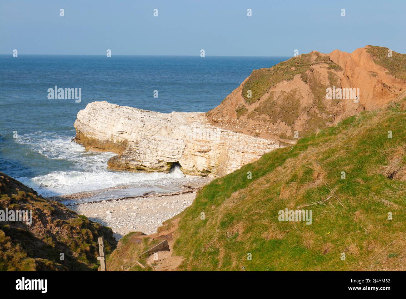 A rock at Little Thornwick Bay on the Yorkshire Coast near Flamborough that resembles a Tortoise Stock Photo