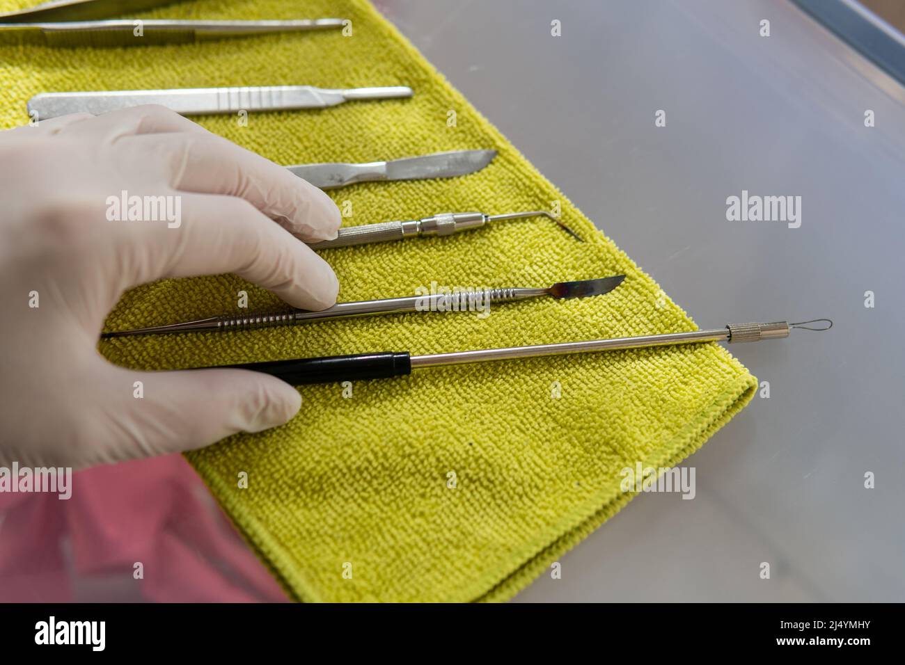 medical instrument for research. dental tool Stock Photo - Alamy