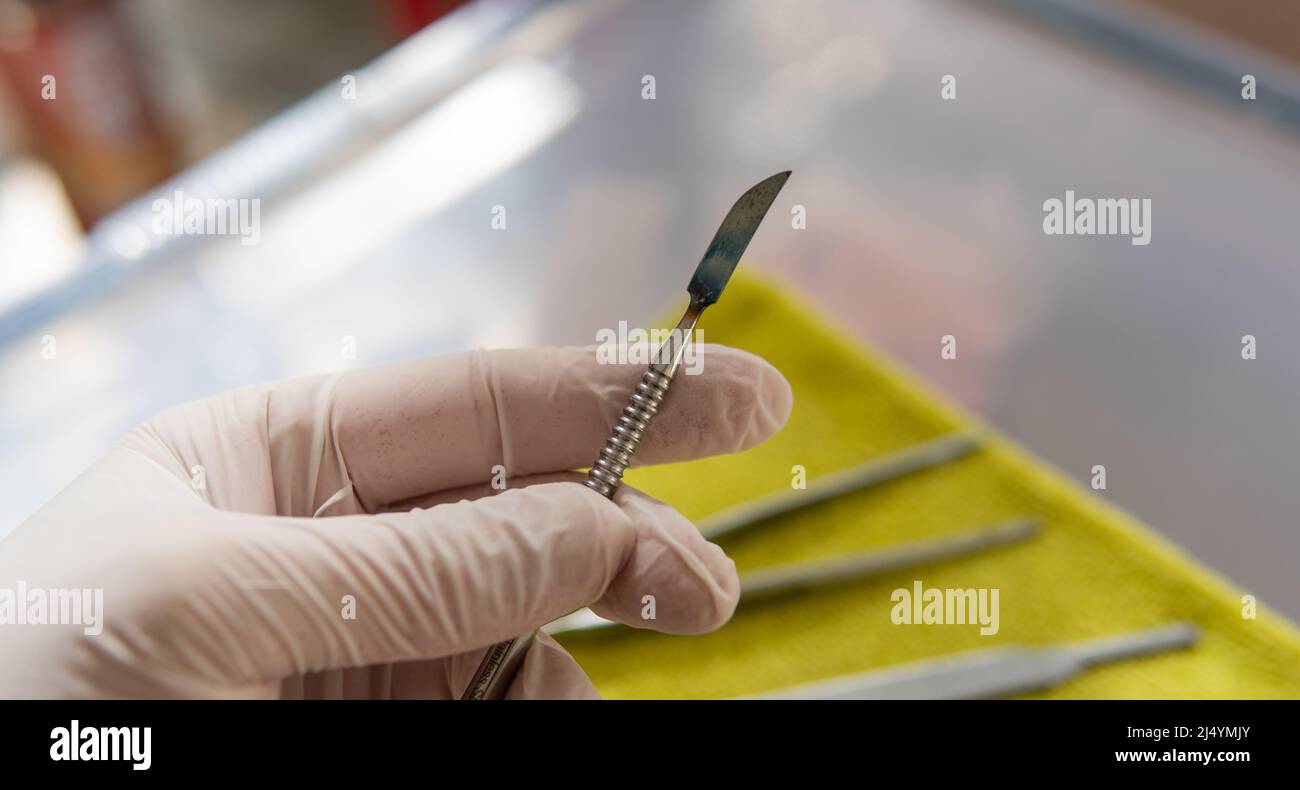 medical instrument for research. dental tool Stock Photo - Alamy