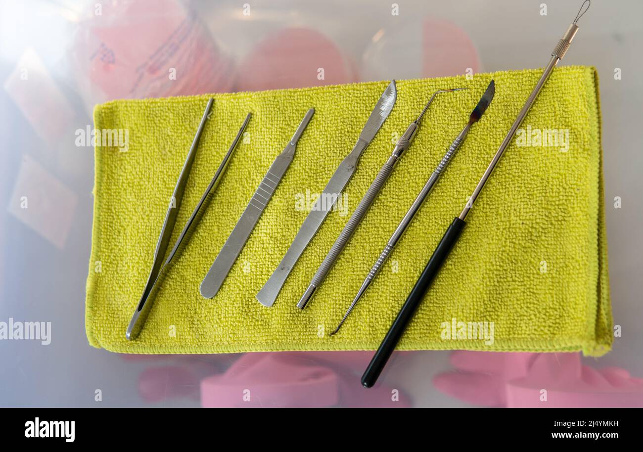 medical instrument for research. dental tool Stock Photo - Alamy