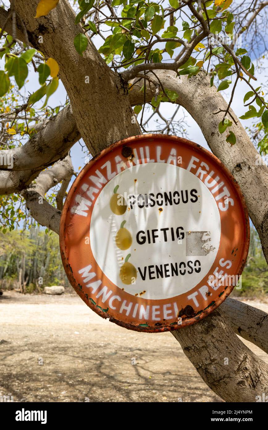 Manchineel trees warning sign at Playa Jeremi on the Caribbean island Curacao Stock Photo