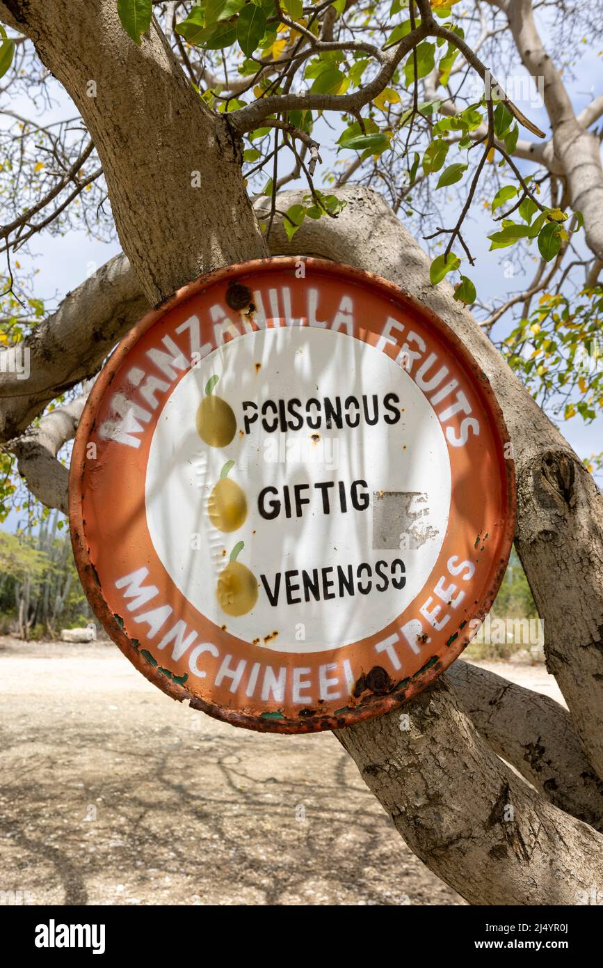 Manchineel trees warning sign at Playa Jeremi on the Caribbean island Curacao Stock Photo