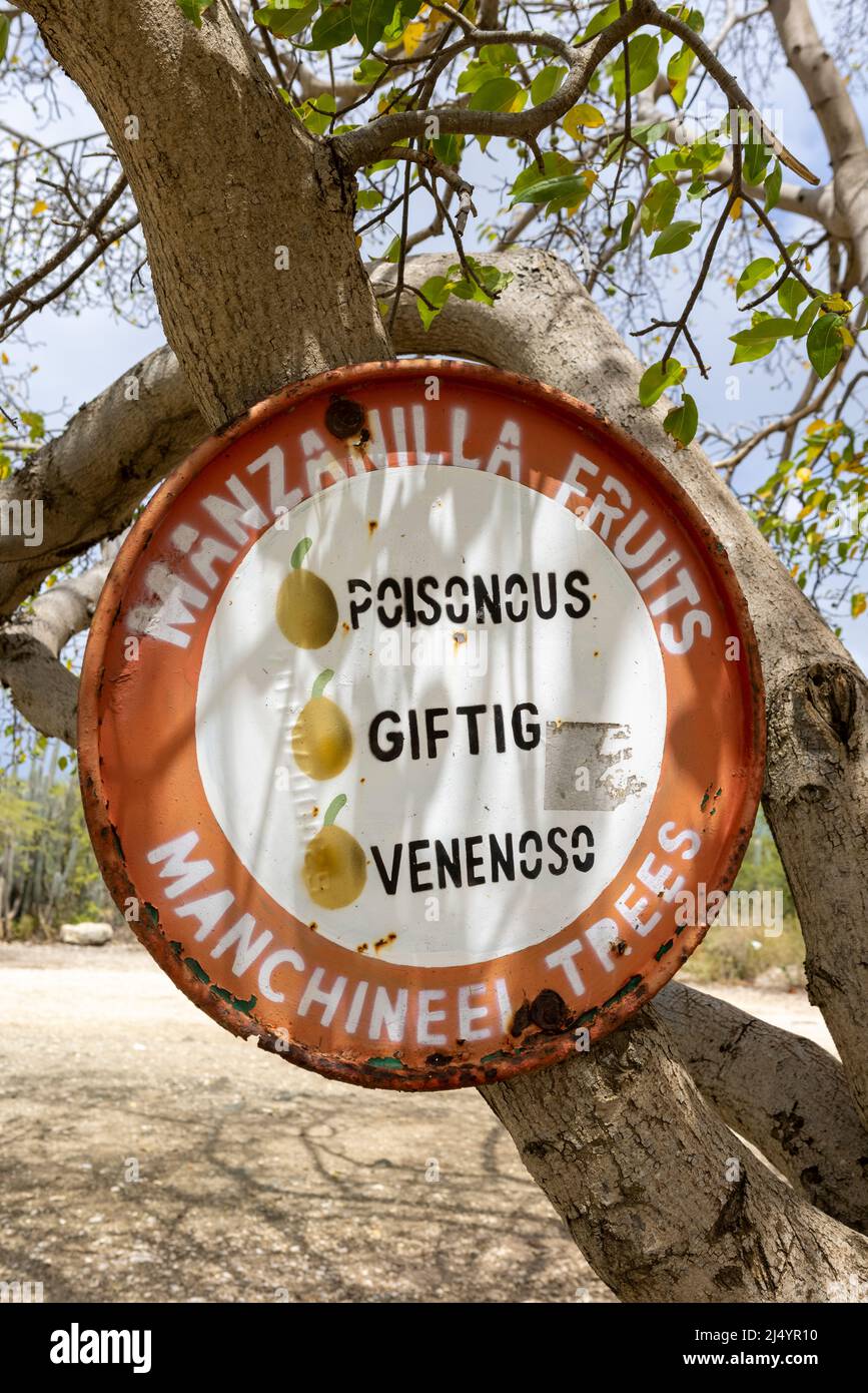 Manchineel trees warning sign at Playa Jeremi on the Caribbean island Curacao Stock Photo