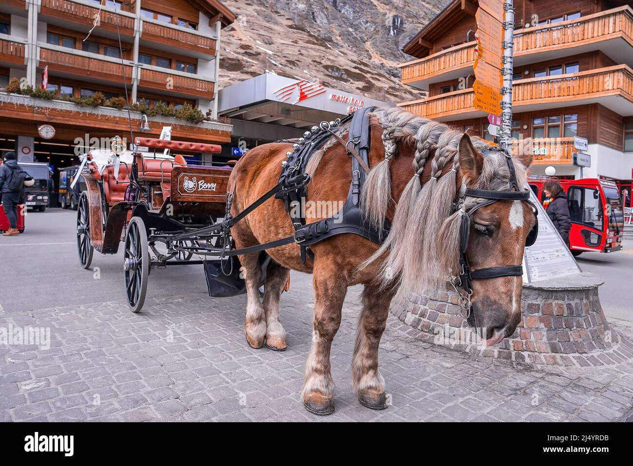 Horse with braided mane carrying cart on street of town square against houses Stock Photo