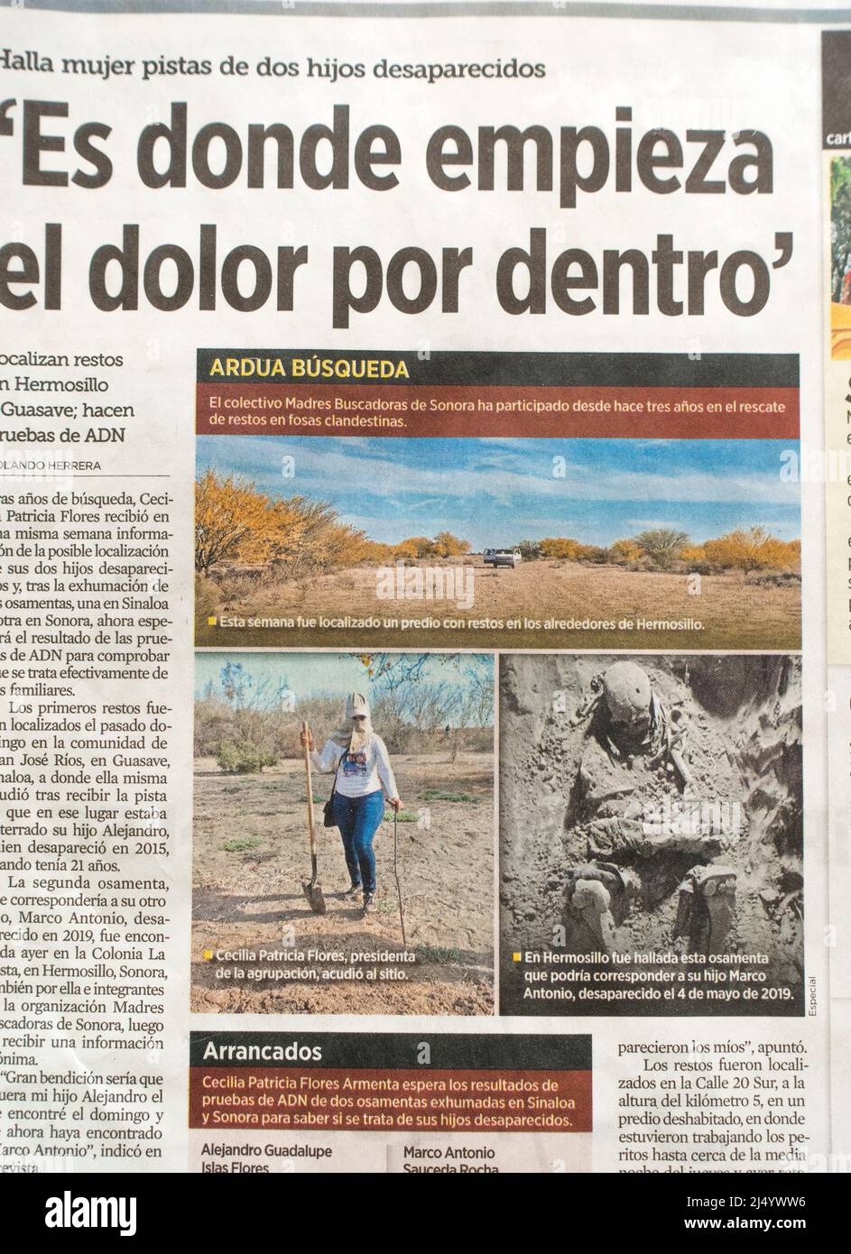 Mexican newspaper cutting of a mother's search for her two disappeared sons in clandestine mass graves Stock Photo