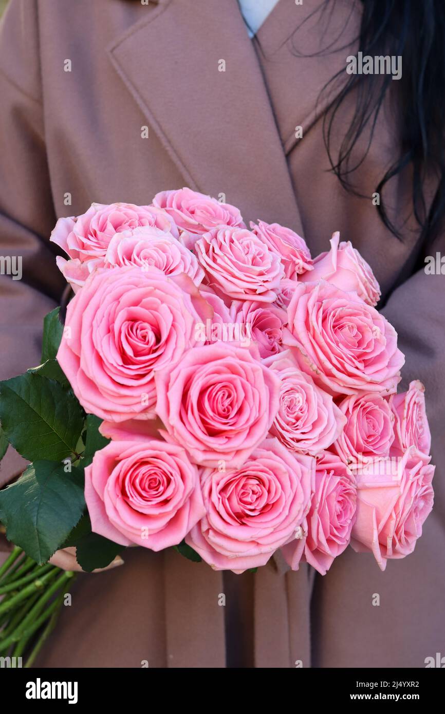 Beautiful mono bouquet of pink roses. Woman in brown coat holding ...
