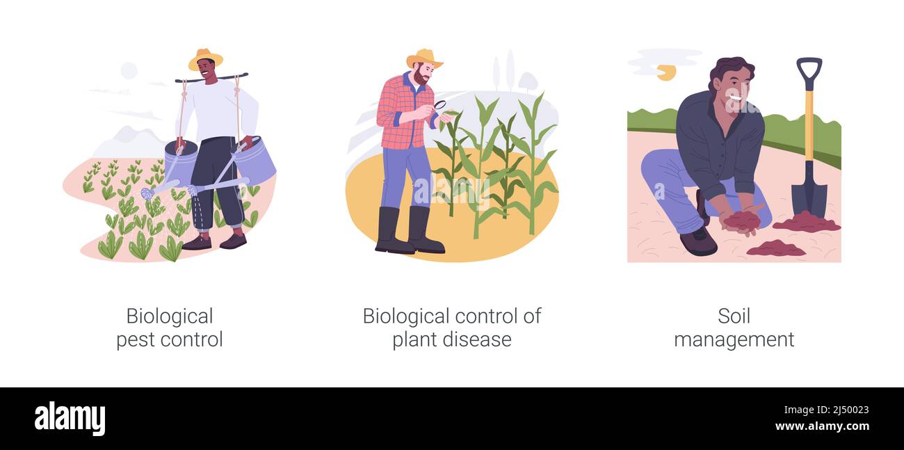 Organic farming industry isolated cartoon vector illustrations set ...