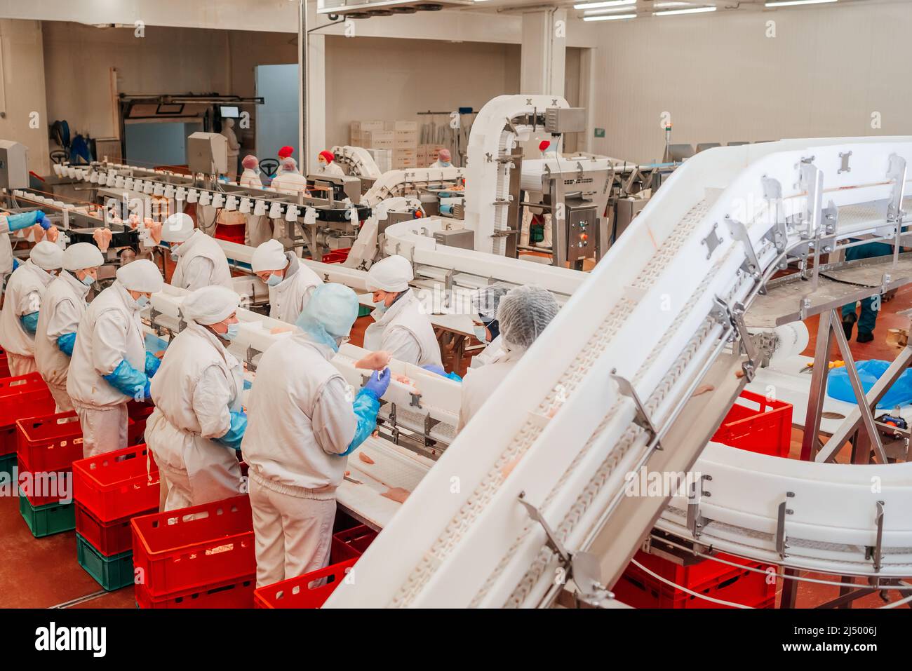 Modern poultry processing plant.Factory for the production of food from