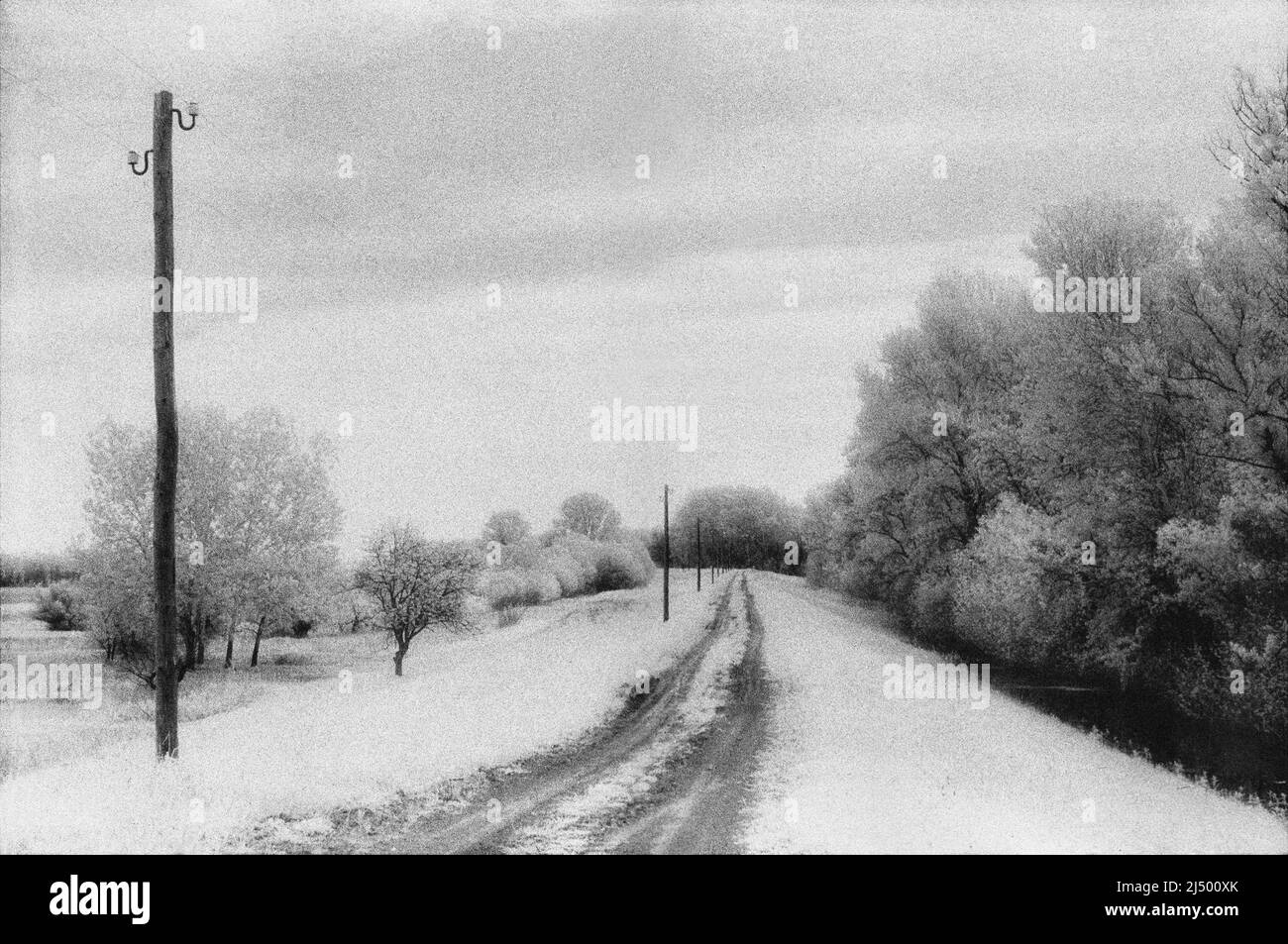 Monochrome infrared photograph of the Tisza embankment from April. Scanned infrared photo from black and white negative film. Stock Photo