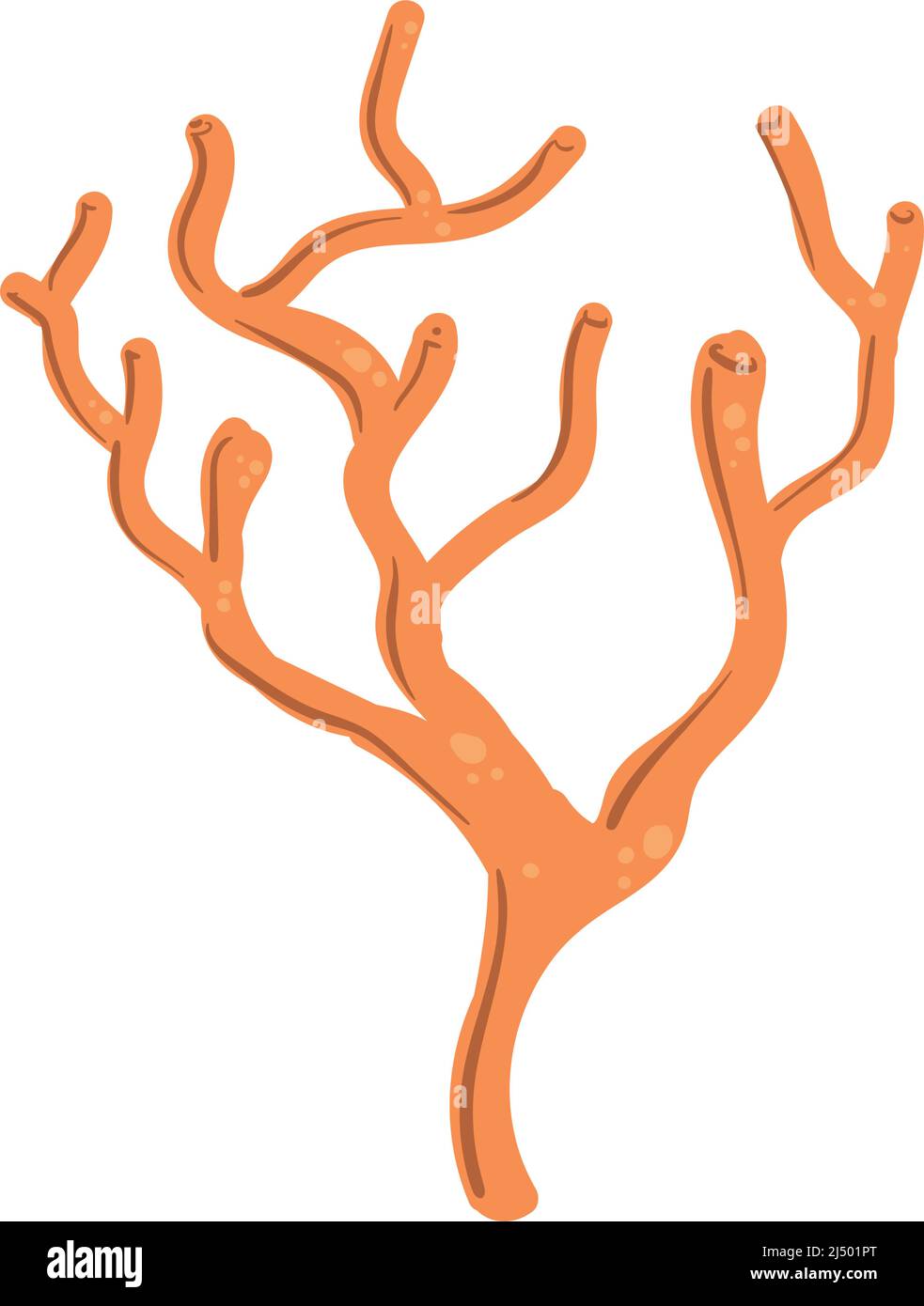 Orange coral design Stock Vector Image & Art - Alamy