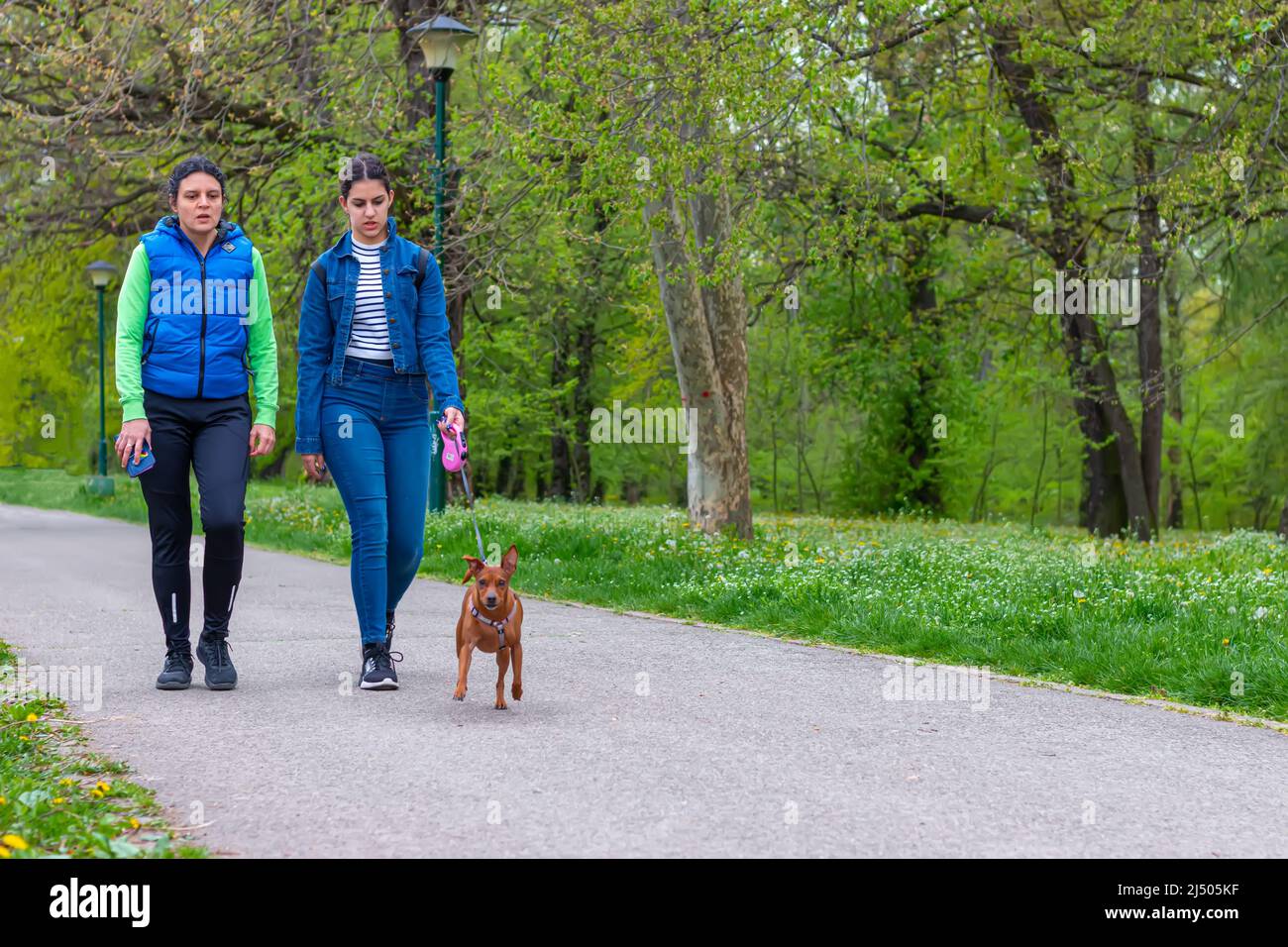 Teen girl walking dog hi-res stock photography and images - Alamy
