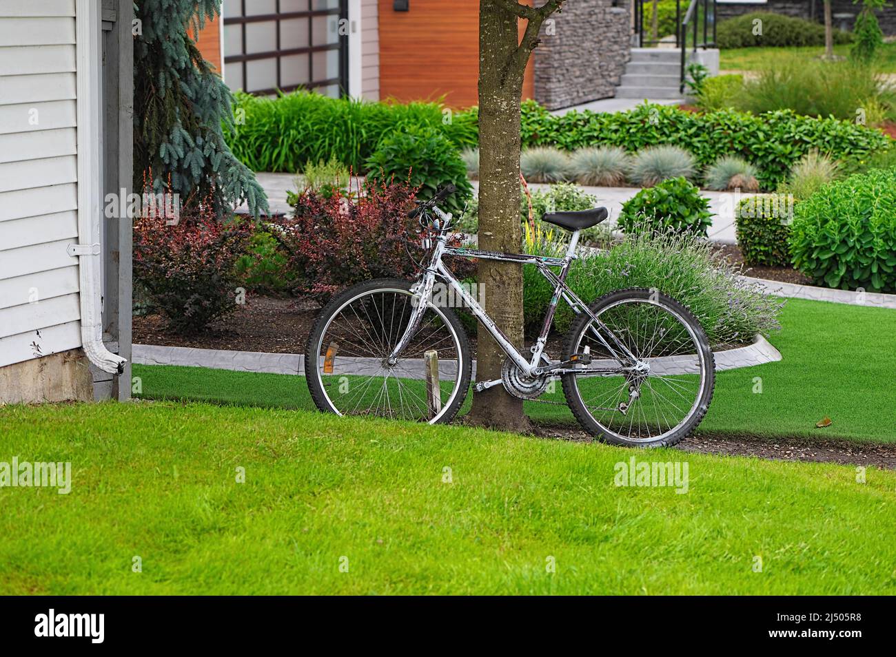 A bicycle leaning against a tree trunk in a residential neighbourhood. Stock Photo