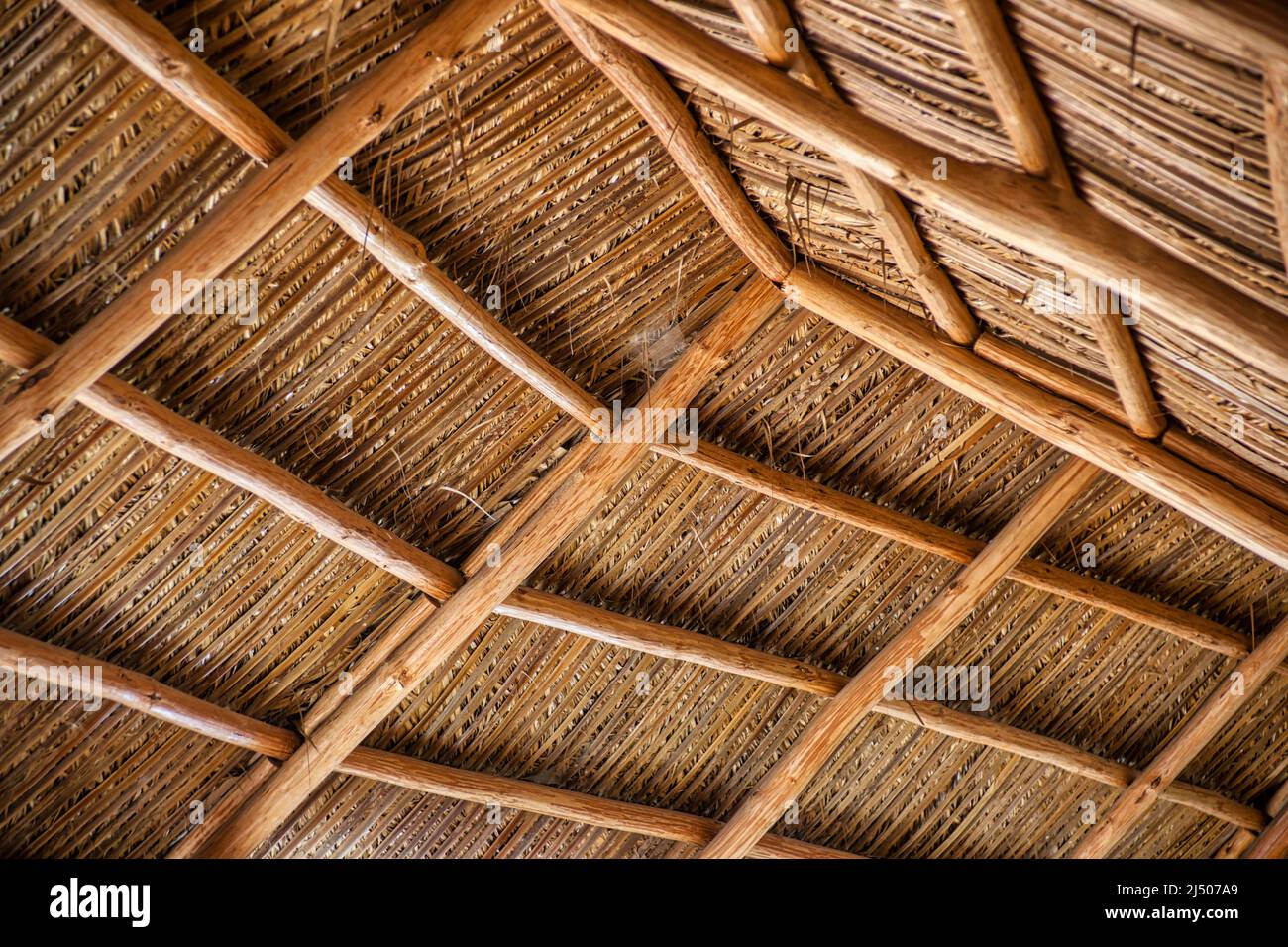 Detail of the thatched roof of a hut in the tropical courtyard at Schnebly’s, the Southernmost winery in the United States, located in the agricultura Stock Photo