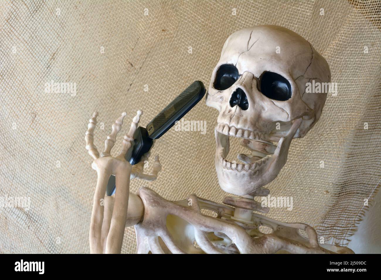Skeleton talking endlessly on cell phone to point of death Stock Photo