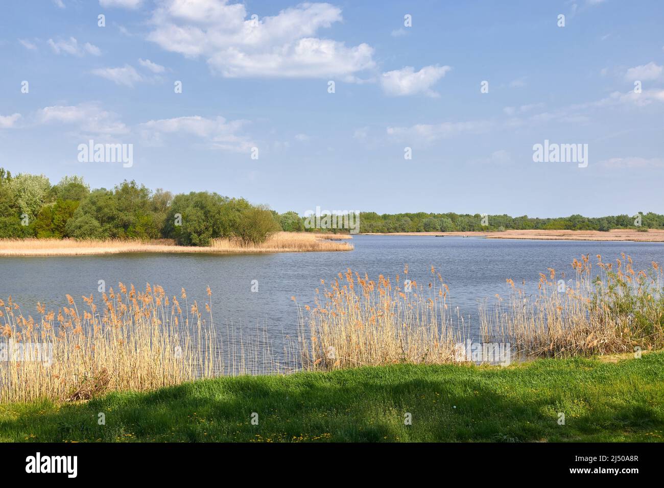 Lakeside autumn landscape Stock Photo