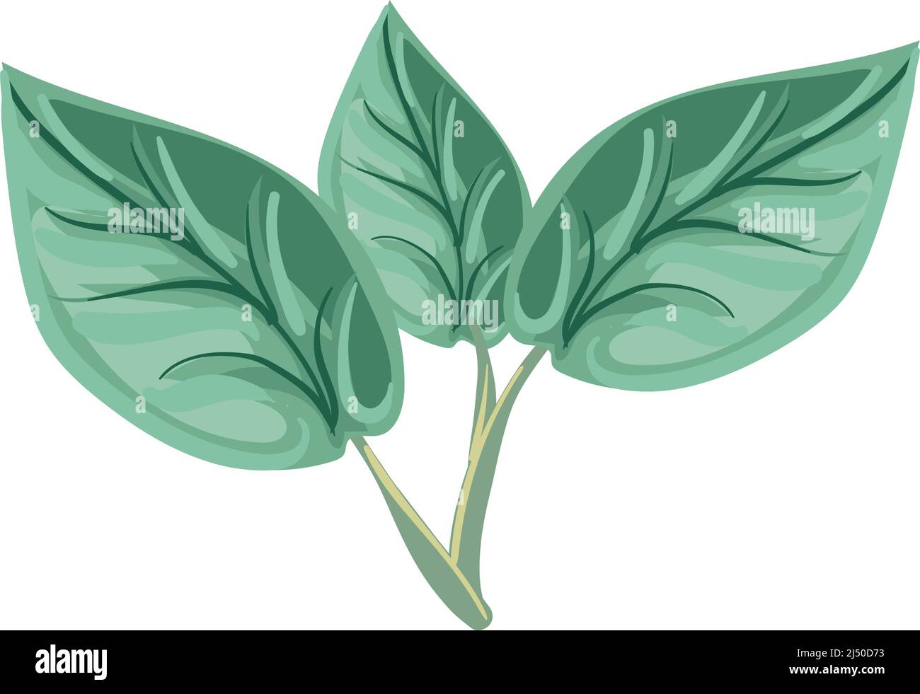 three green leaves Stock Vector Image & Art - Alamy