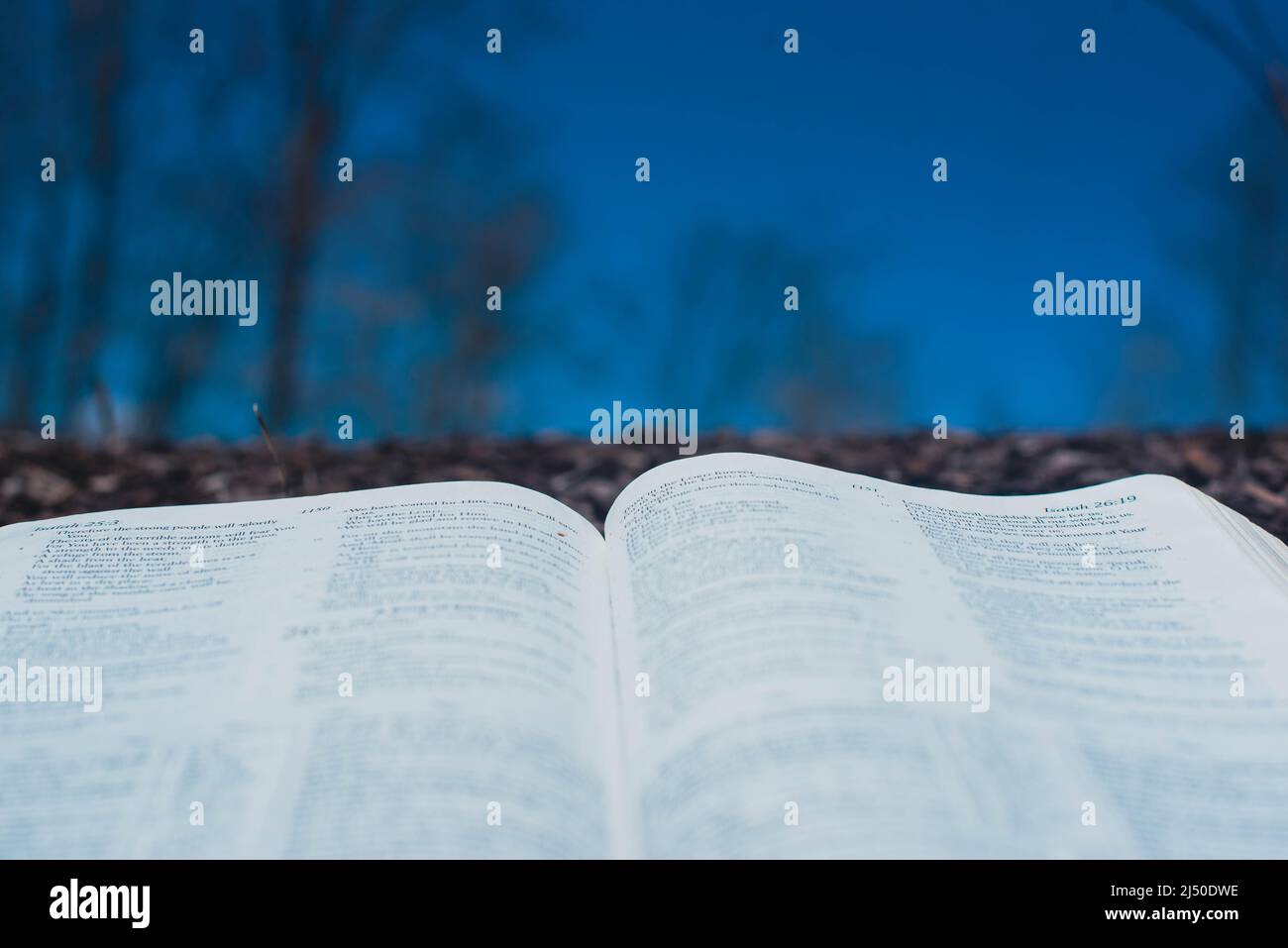 A Bible lays open in front of a blue sky. Stock Photo