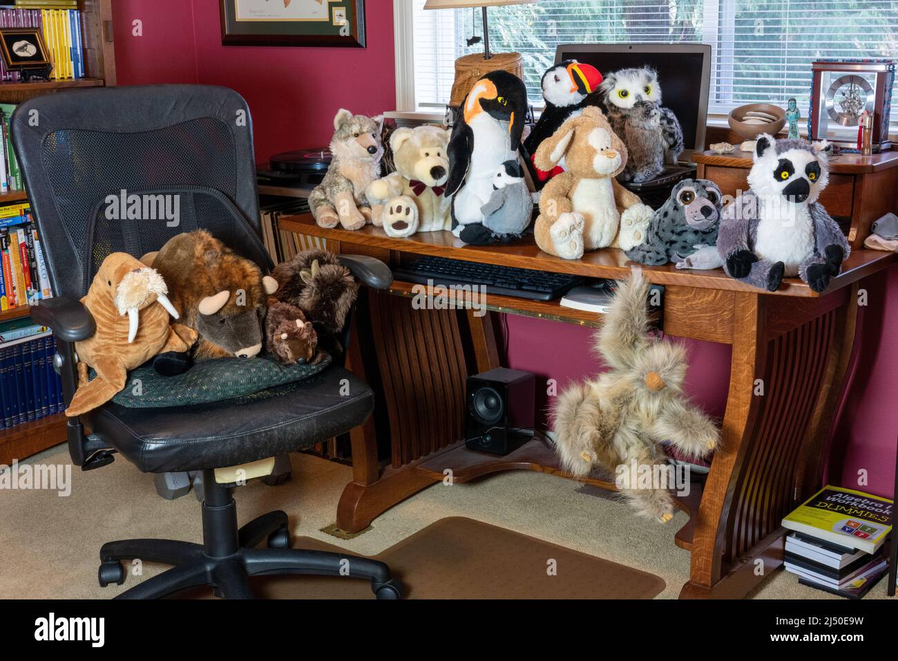 Stuffed animals taking over an office chair and desk Stock Photo