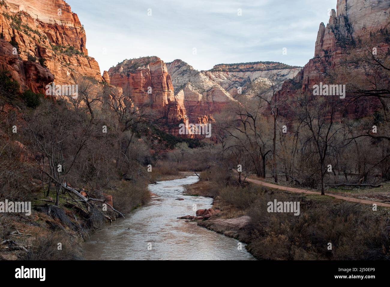 Zion Canyon as seen from the Emerald Pools trail bridge.  Looking up canyon.  Virgin River at photo bottom. Stock Photo