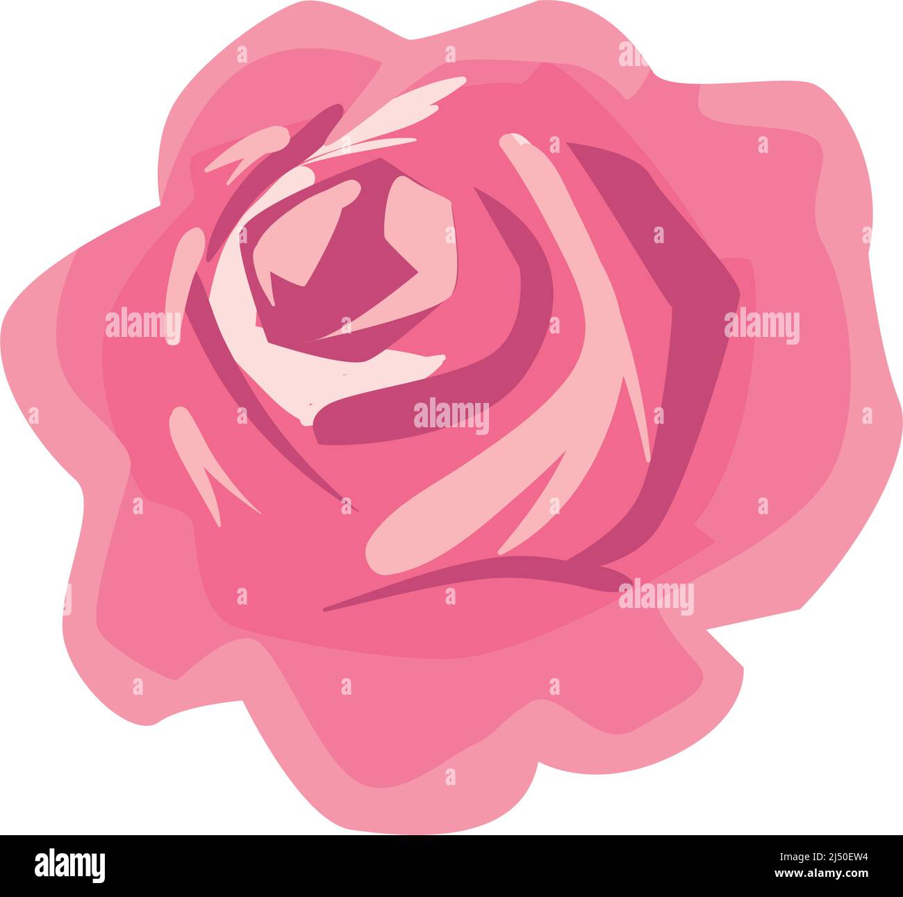 pink rose design Stock Vector Image & Art - Alamy