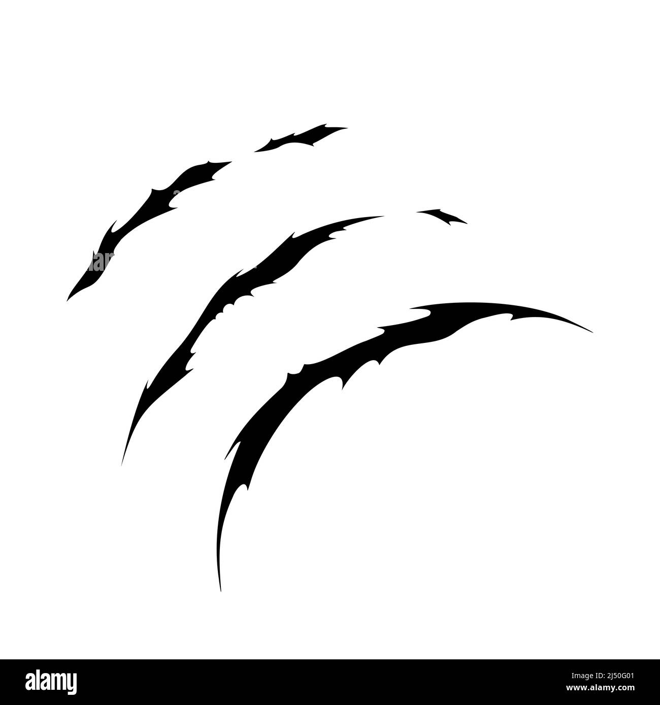 Claw scratches of wild animal. Cat scratches marks isolated in white