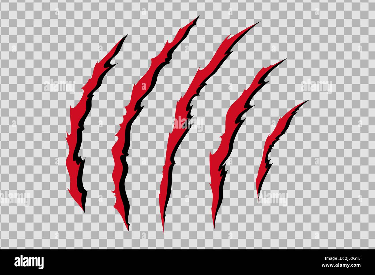 Claw scratches of wild animal. Cat scratches marks with blood isolated
