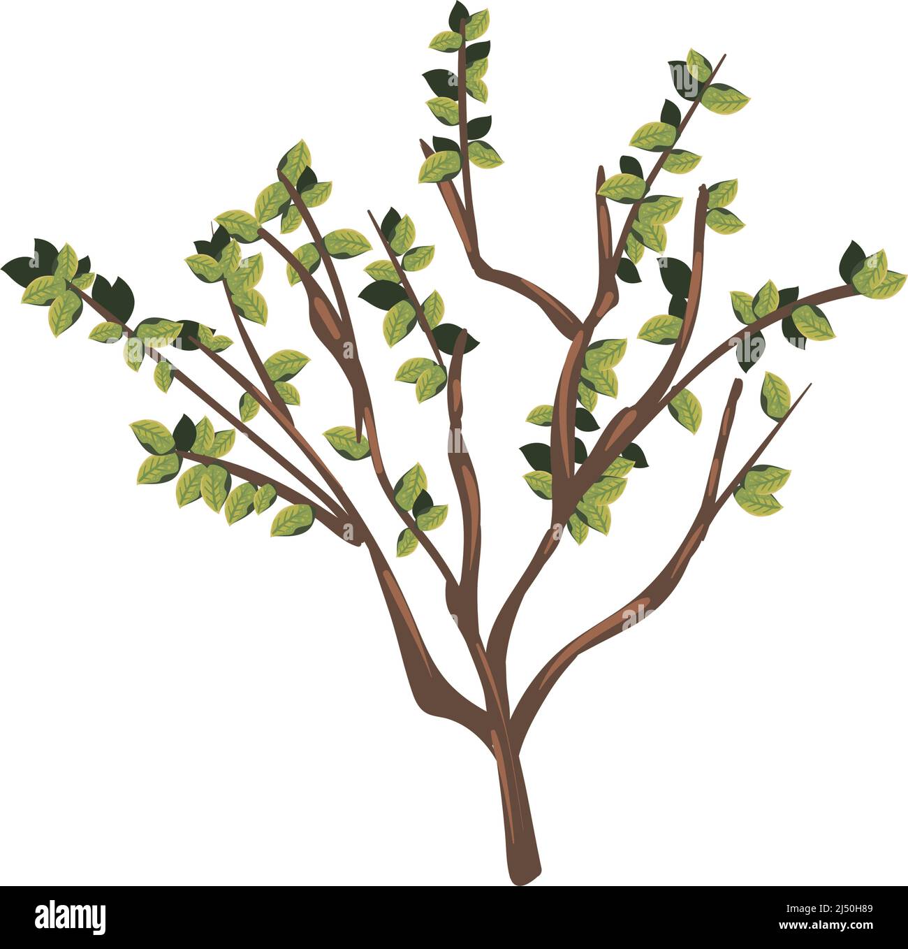 tree branch design Stock Vector Image & Art - Alamy