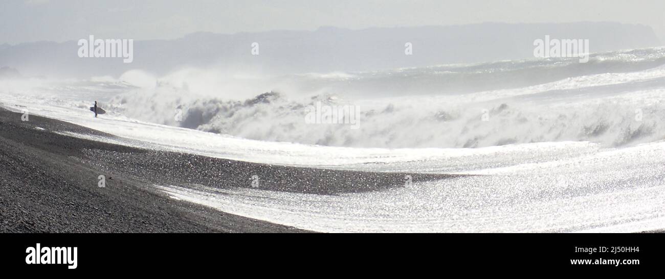 A lone surfer waiting for the right moment to go in, with wild waves crashing on Napier's Marine Parade Stock Photo