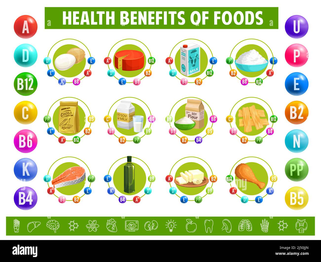 Chart table content of vitamins and minerals in food. Vector eggs