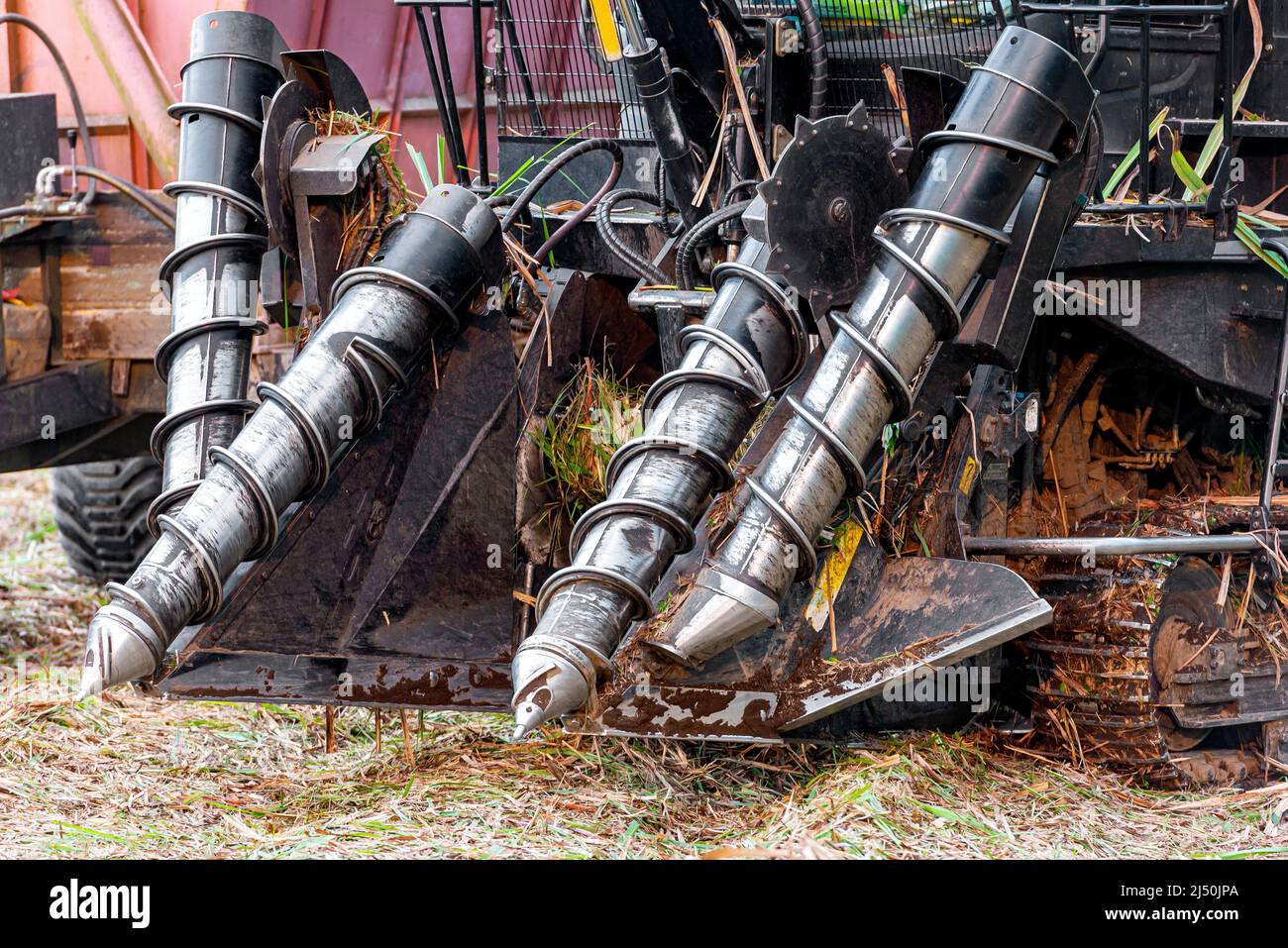 Machine for harvesting sugar cane on a plantation Stock Photo