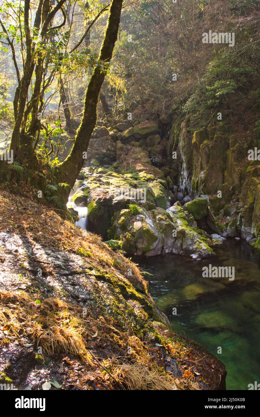 Kikuchi Gorge, early morning, Kumamoto Prefecture, Japan Stock Photo - Alamy