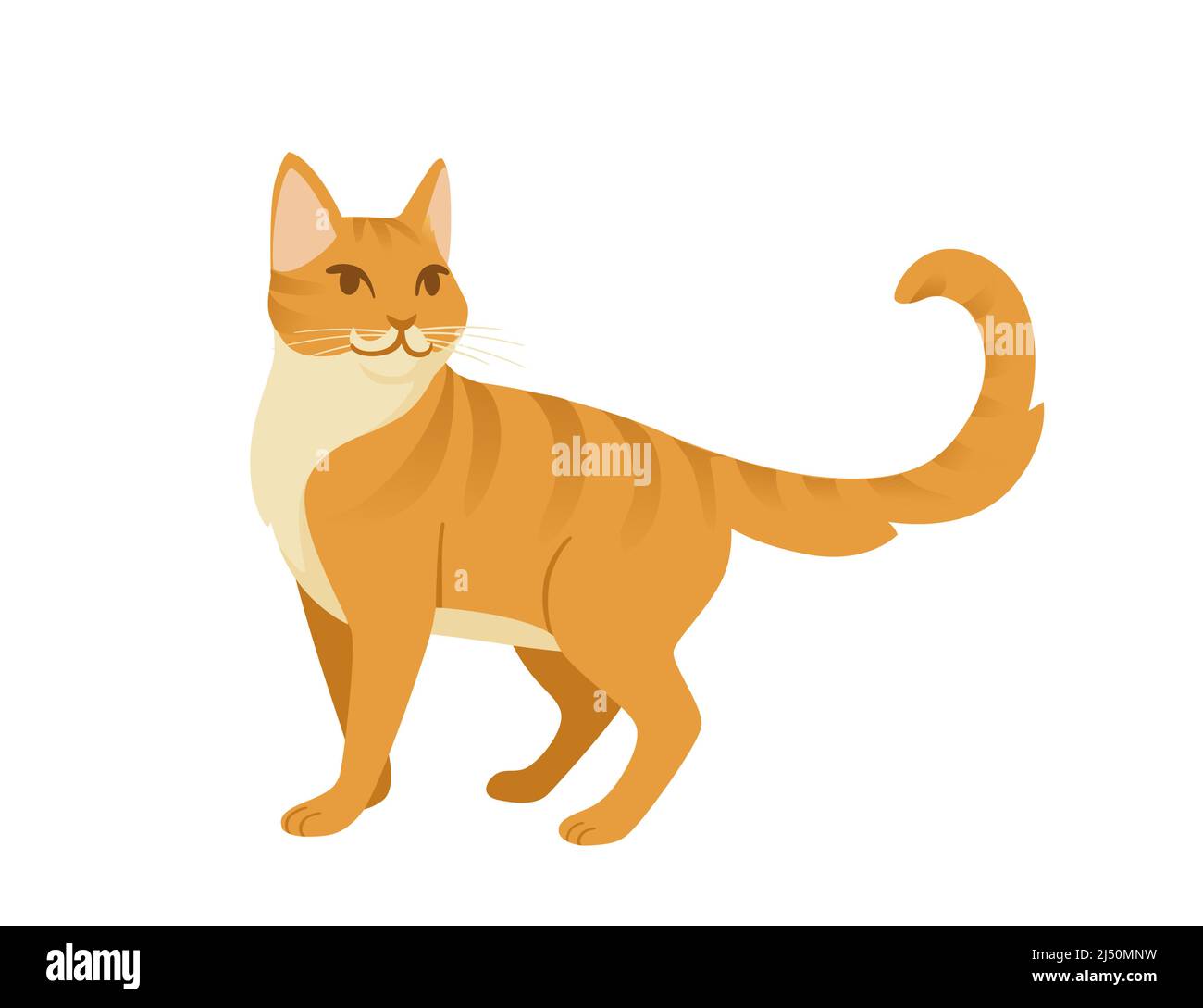 Ginger cat cartoon standing on the ground cartoon animal design vector