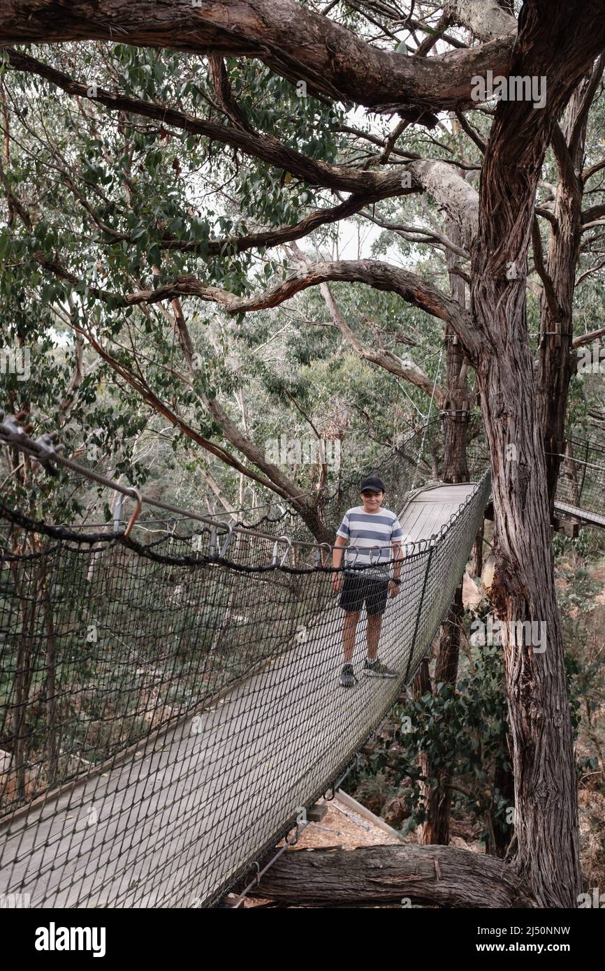 A caucasian boy exploring in the wilderness australian bush standing on a suspended bridge surrounded by eucalyptus trees Stock Photo