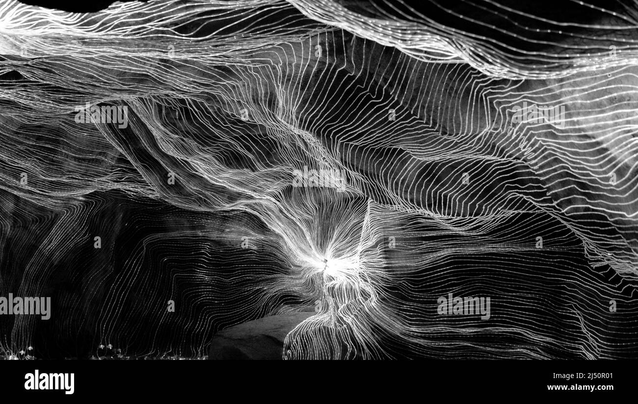 Abstract wave of digital weave lines connecting network dots and dark ...