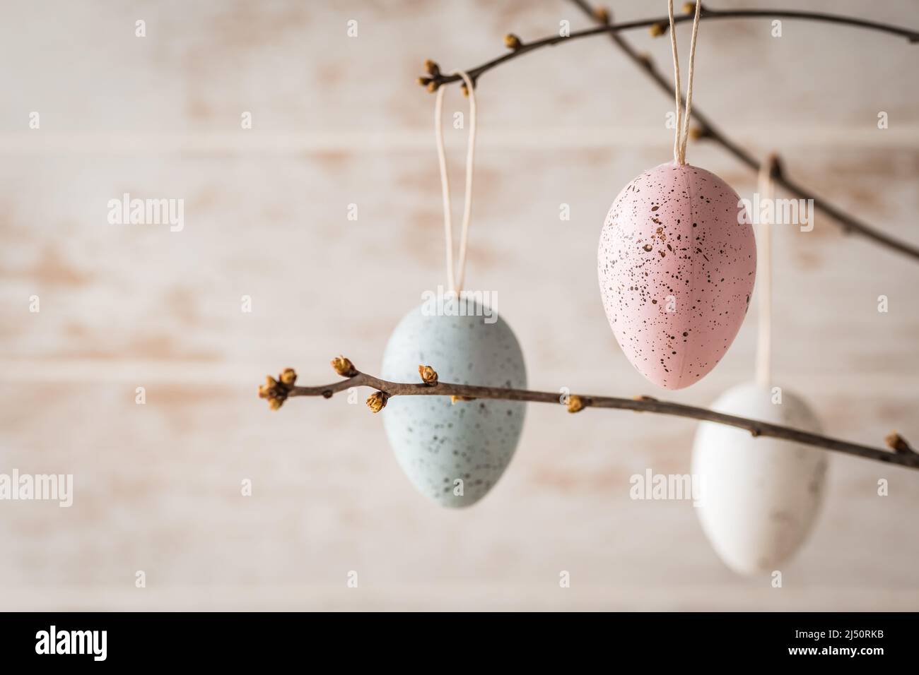 Three decorative easter eggs in pastel colors on branches, copy space Stock Photo