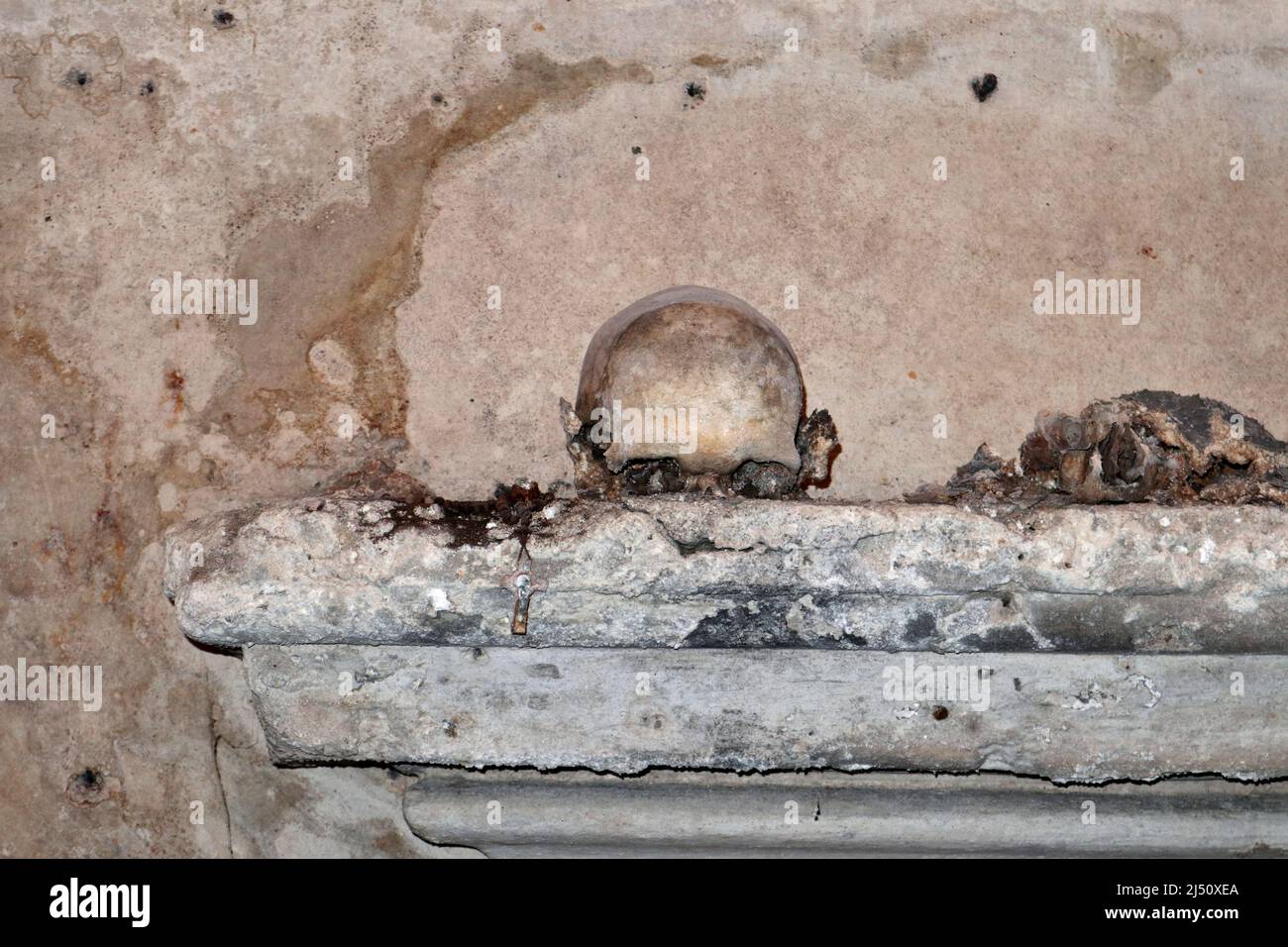 Napoli - Teschio con le Orecchie nella cripta di Santa Luciella Stock Photo