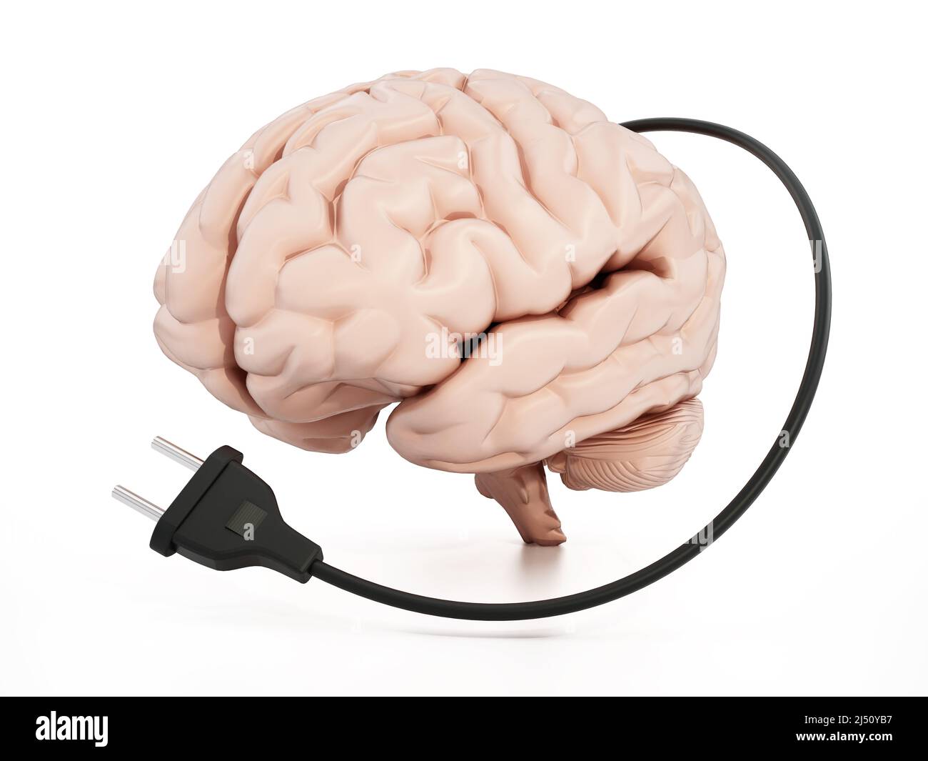 Human brain with electric plug. 3D illustration. Stock Photo
