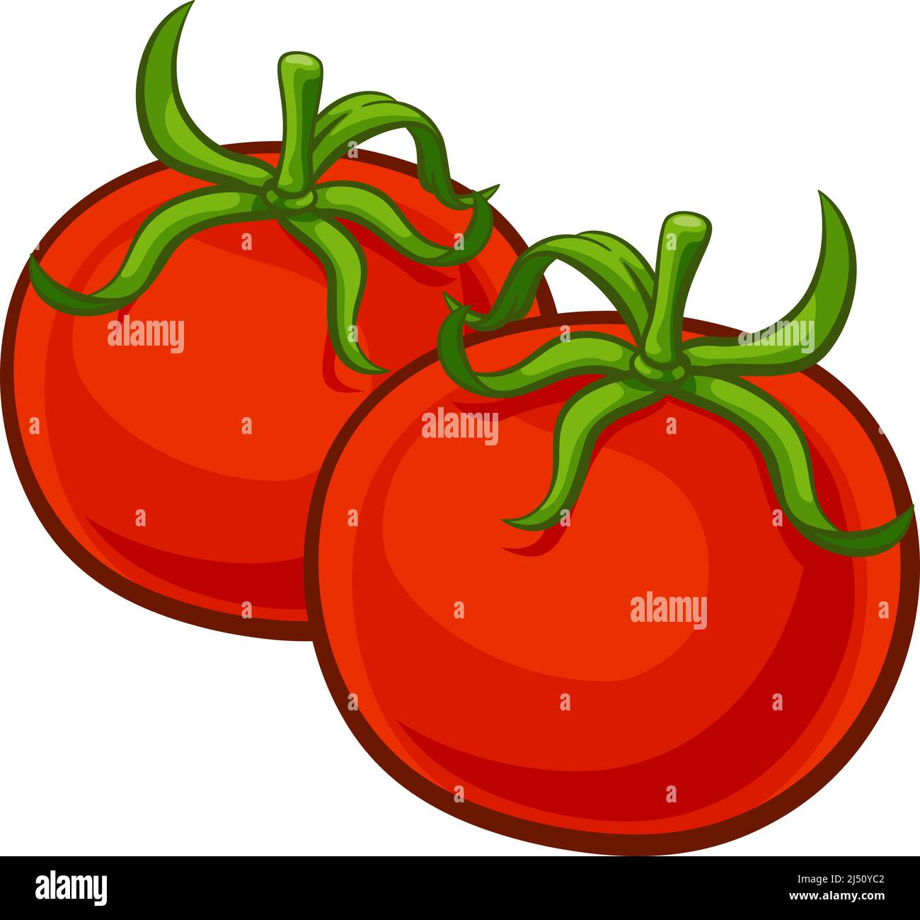 Tomatoes Vegetable Cartoon Food Drawing Stock Vector