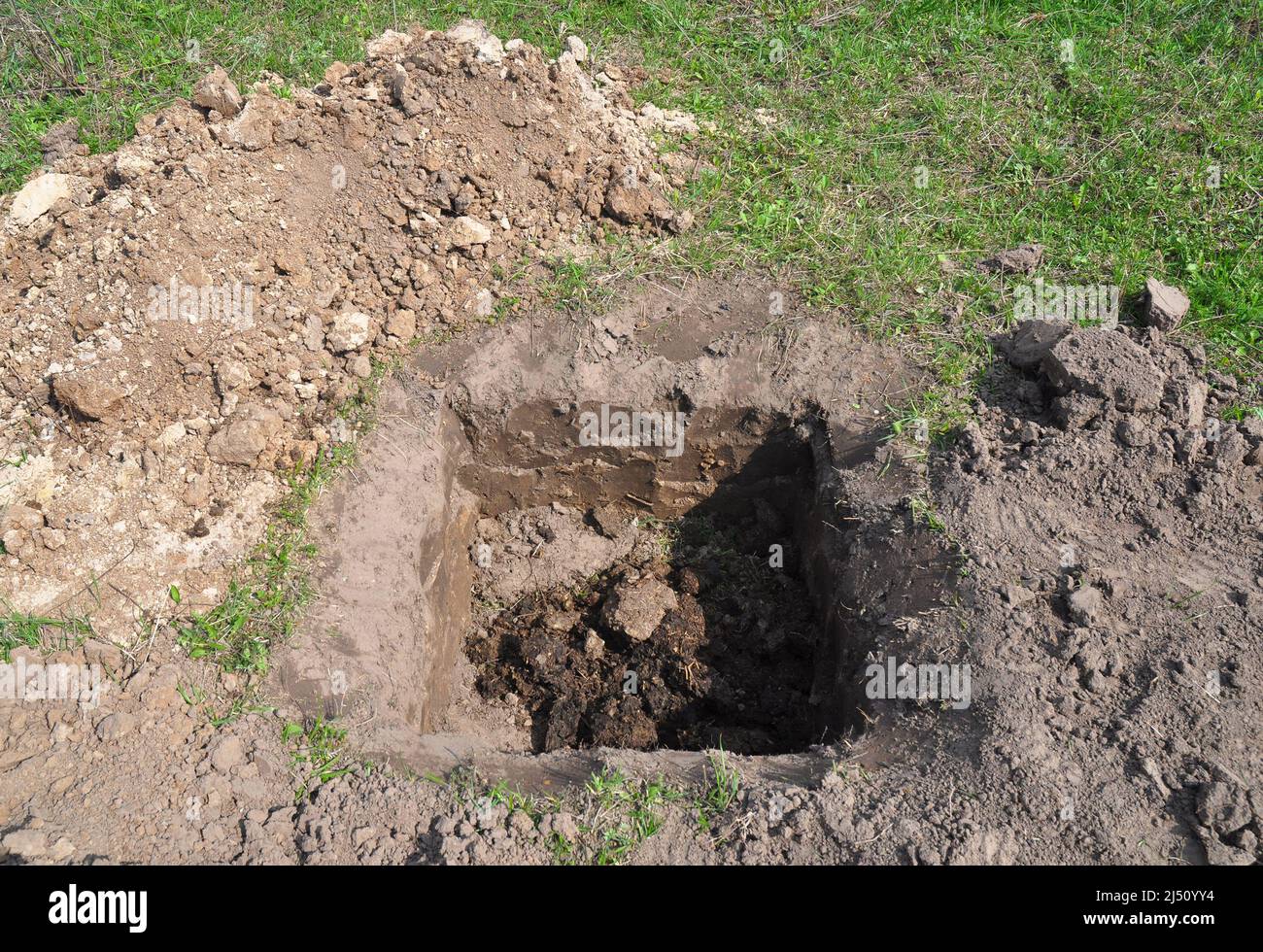 Tree organic fertilization Compost. Organic fertilizer for tree