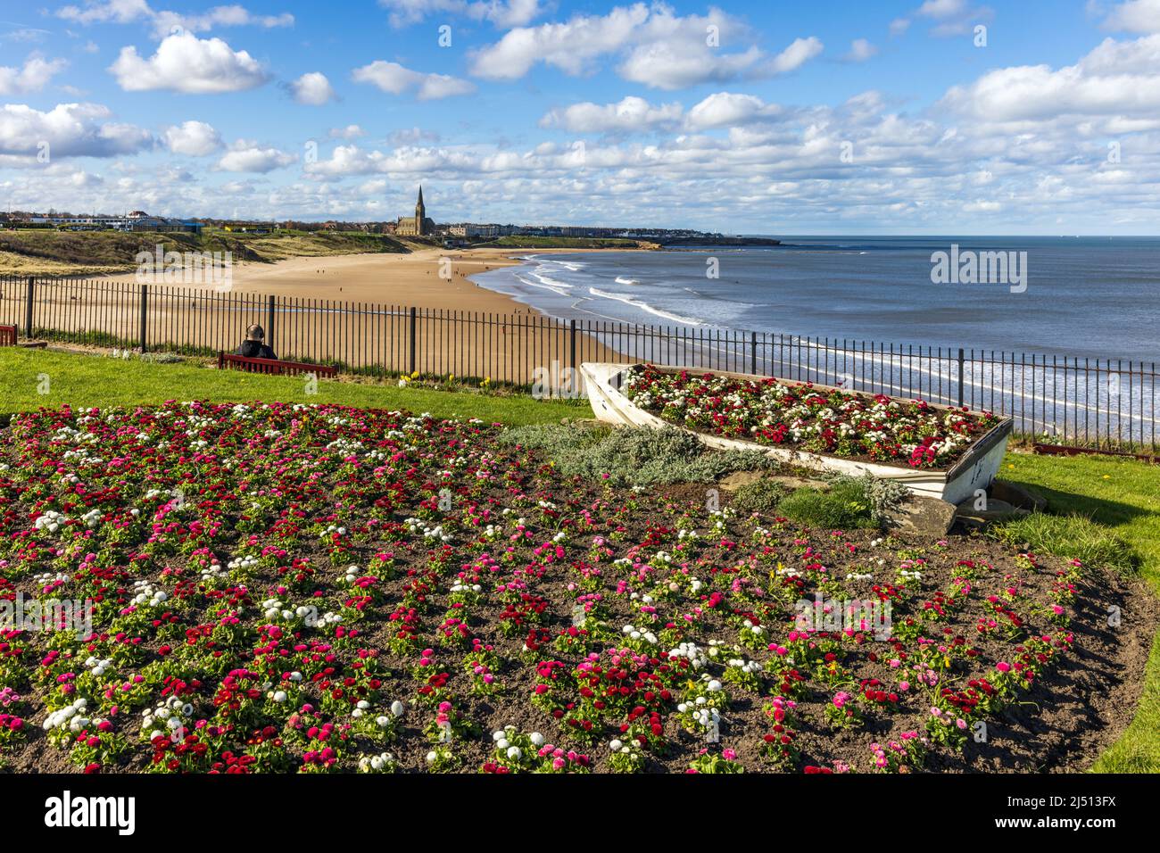 Looking north from Sharpness Point flower beds with the view across Long Sands Beach towards Cullercoats, Tynemouth. Taken on a bright spring day. Stock Photo