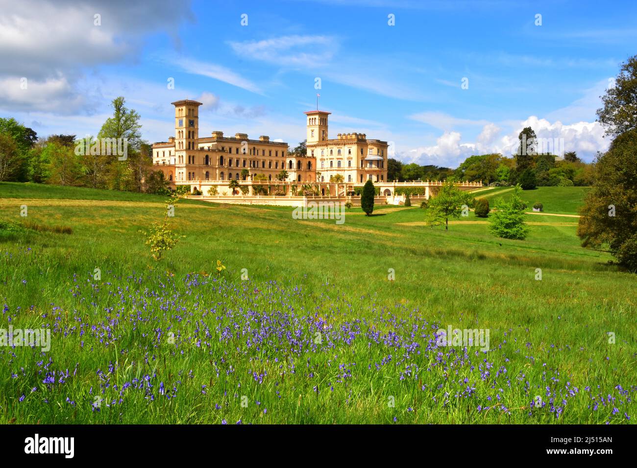 Bluebells, Osborne House, Isle of Wight Stock Photo Alamy