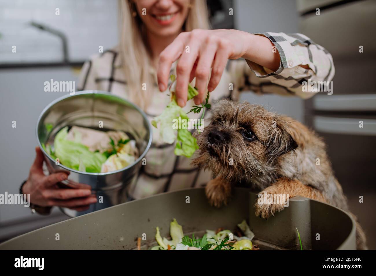 Woman throwing vegetable cuttings in a compost bucket in kitchen and feeding dog. Stock Photo